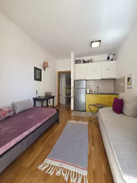 Dnevna soba sa kaučem i manjom kuhinjom u uglu. - image 3