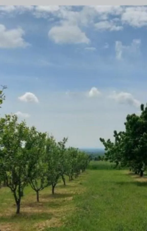 Prodaja, plac, 138m², Krstašice, Irig