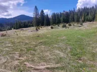 Prodaja, plac, 17500m², Žabljak, Crna Gora - image 5