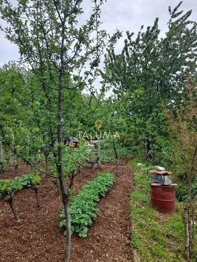 Prodaja, plac, 660m², Mokrine, Herceg Novi