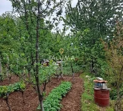 Prodaja, plac, 660m², Mokrine, Herceg Novi - image 2