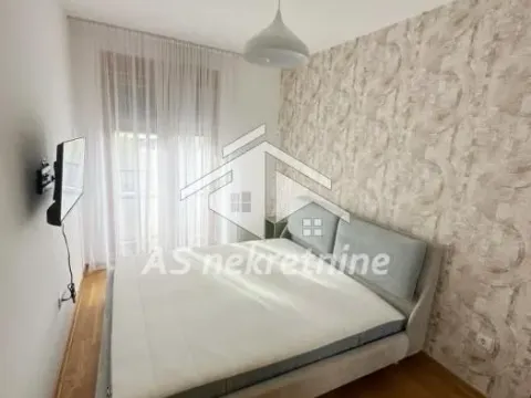 Izdavanje, dvosoban stan, 49m², Južni Bulevar, Vračar Sve Podlokacije - image 7