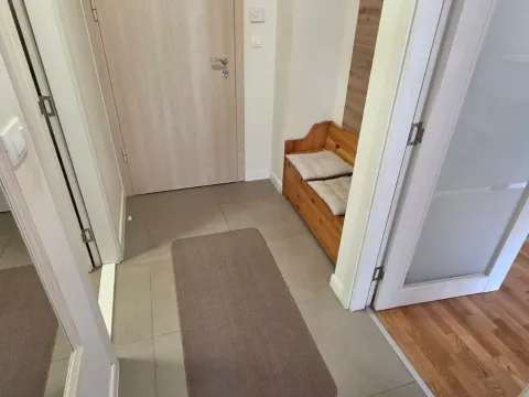 Izdavanje, jednosoban stan, 42m², Pobrežje, Podgorica - image 3