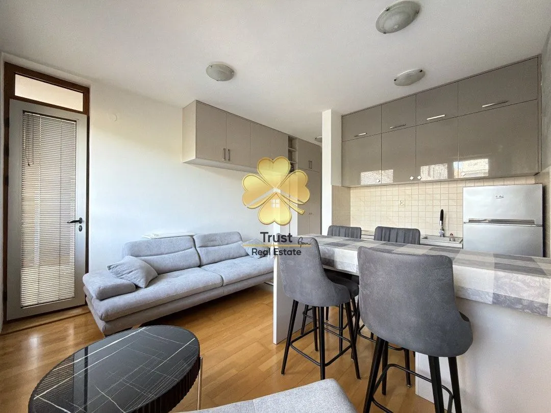 Rent, studio apartment, 30m², Preko Morače, Podgorica