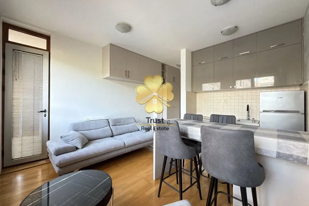 Izdavanje, garsonjera, 30m², Preko Morače, Podgorica