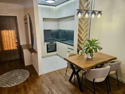 Izdavanje, jednosoban stan, 46m², Stari Aerodrom, Podgorica - image 8