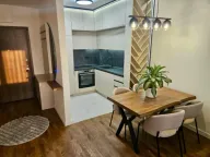 Izdavanje, jednosoban stan, 46m², Stari Aerodrom, Podgorica - image 8