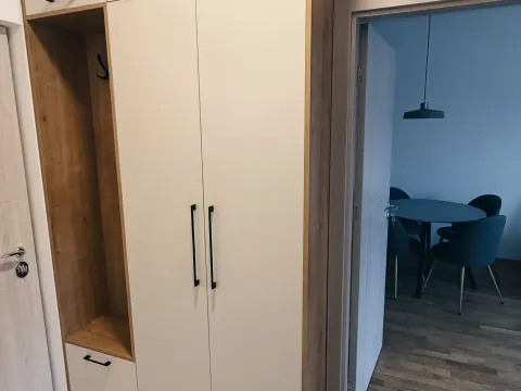 Izdavanje, jednosoban stan, 40m², Zabjelo, Podgorica - image 4