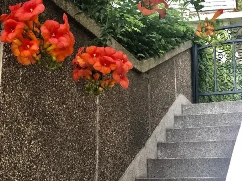 Sale, one bedroom apartment, 50m², Petrovac, Budva - image 2