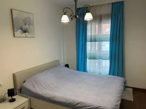 Izdavanje, jednosoban stan, 49m², Master Kvart, Podgorica - image 6