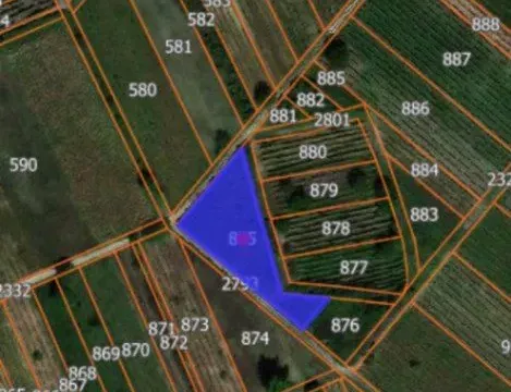 Prodaja, plac, 4100m², Kozilo, Vlasotince - image 3