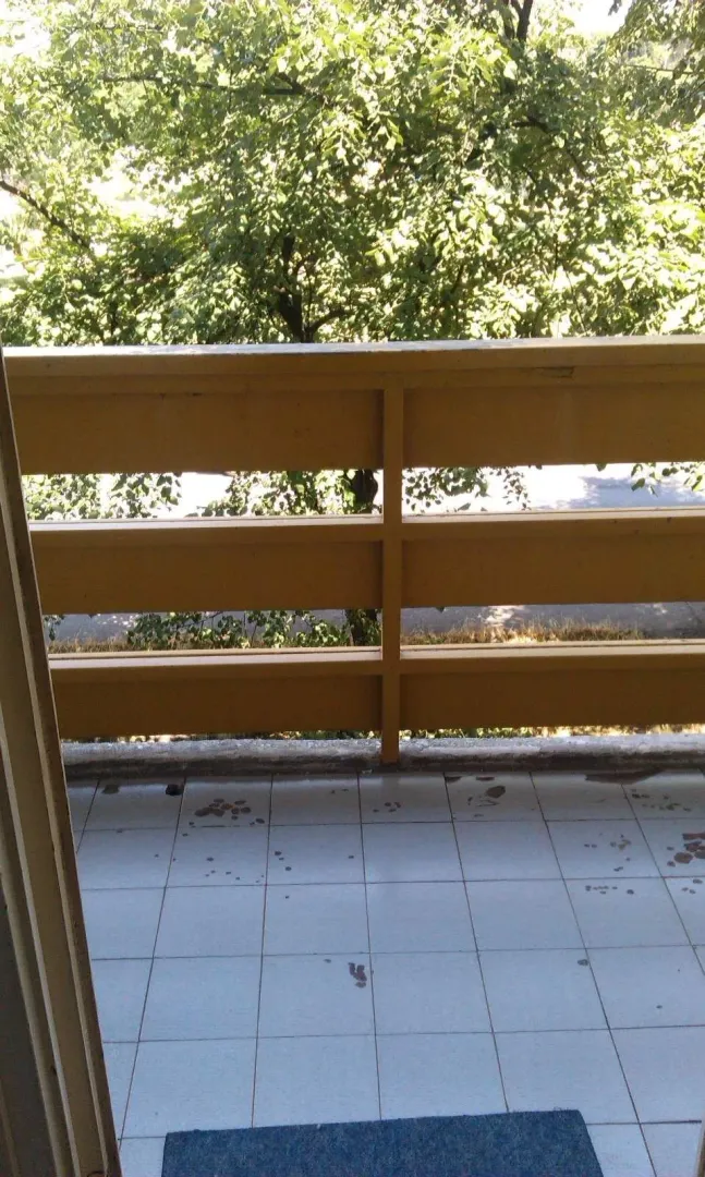 View from a tiled balcony with a wooden railing facing green trees.