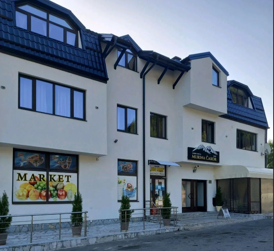 Prodaja, ugostiteljski objekat, 460m², Centar, Plav