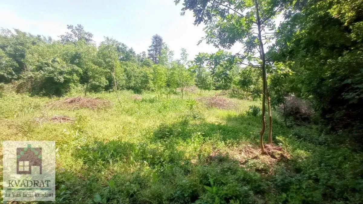 Prodaja, plac, 3000m², Konatice, Obrenovac