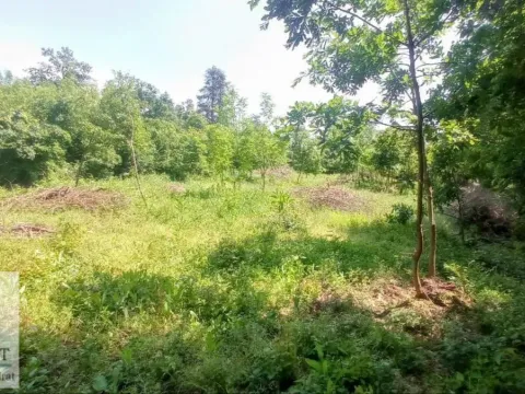 Sale, land lot, 3000m², Konatice, Obrenovac - image 2