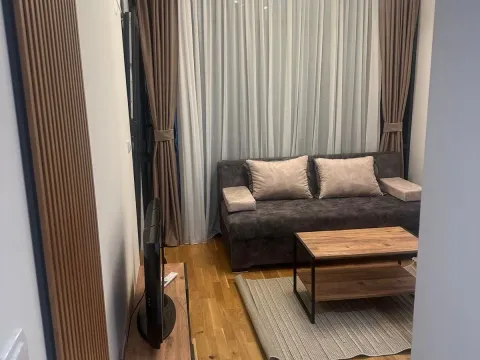 Izdavanje, garsonjera, 25m², Zabjelo, Podgorica - image 2