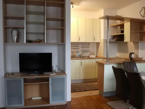 Rent, one bedroom apartment, 48m², Stari Aerodrom, Podgorica - image 4