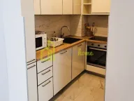 Izdavanje, jednosoban stan, 45m², Rozino, Budva - image 2