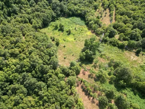 Sale, land lot, 49000m², Virpazar, Bar - image 4