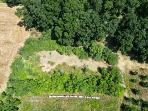 Sale, land lot, 1576m², Irig, Srbija - image 7