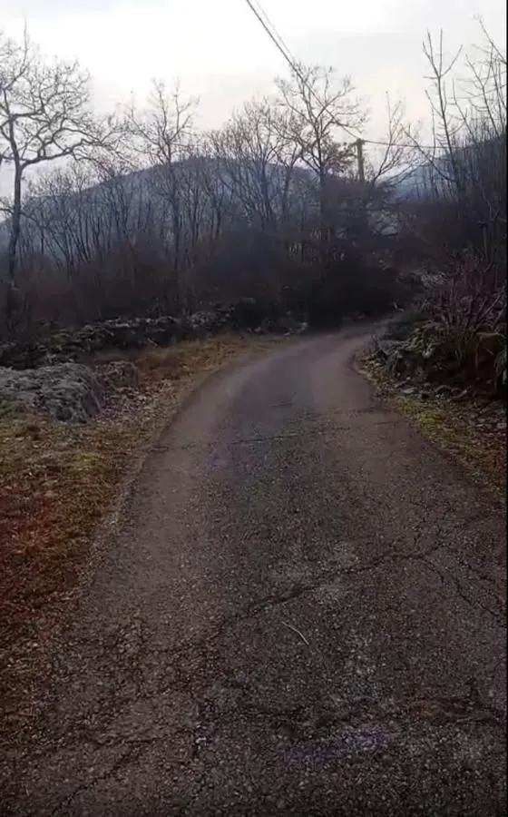 Prodaja, plac, 20000m², Bandići, Danilovgrad