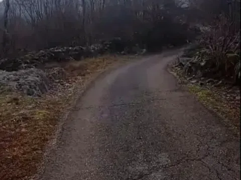 Prodaja, plac, 20000m², Bandići, Danilovgrad - image 2