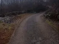 Sale, land lot, 20000m², Bandići, Danilovgrad - image 2