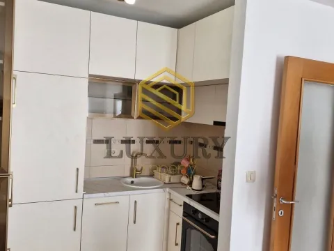 Rent, one bedroom apartment, 47m², Stari Aerodrom, Podgorica - image 1