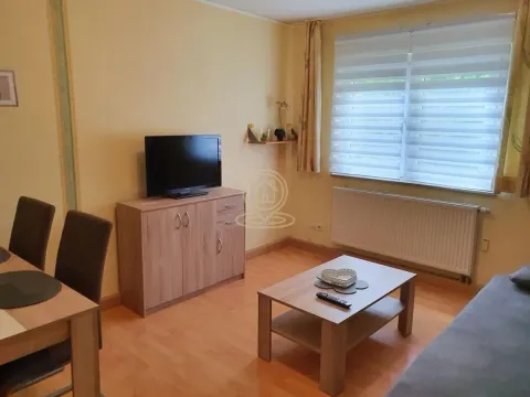 Sale, one bedroom apartment, 40m², Adice, Novi Sad Sve Podlokacije - image 3