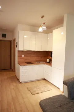 Compact kitchen with white cabinets and a wooden countertop. - image 21
