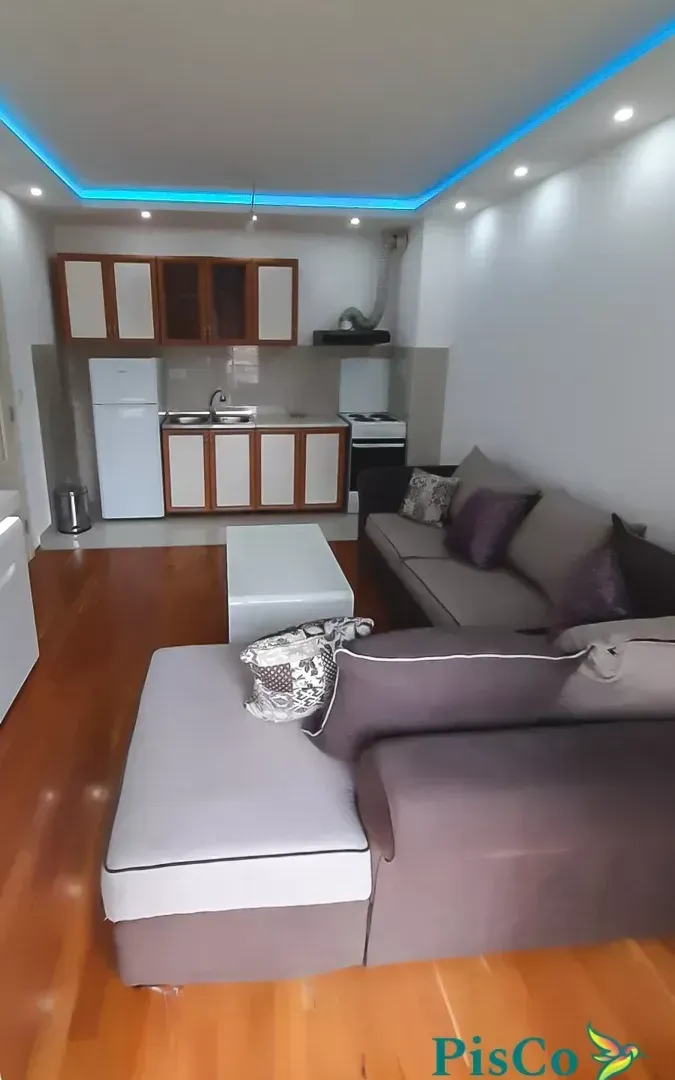 Izdavanje, jednosoban stan, 40m², Zabjelo, Podgorica