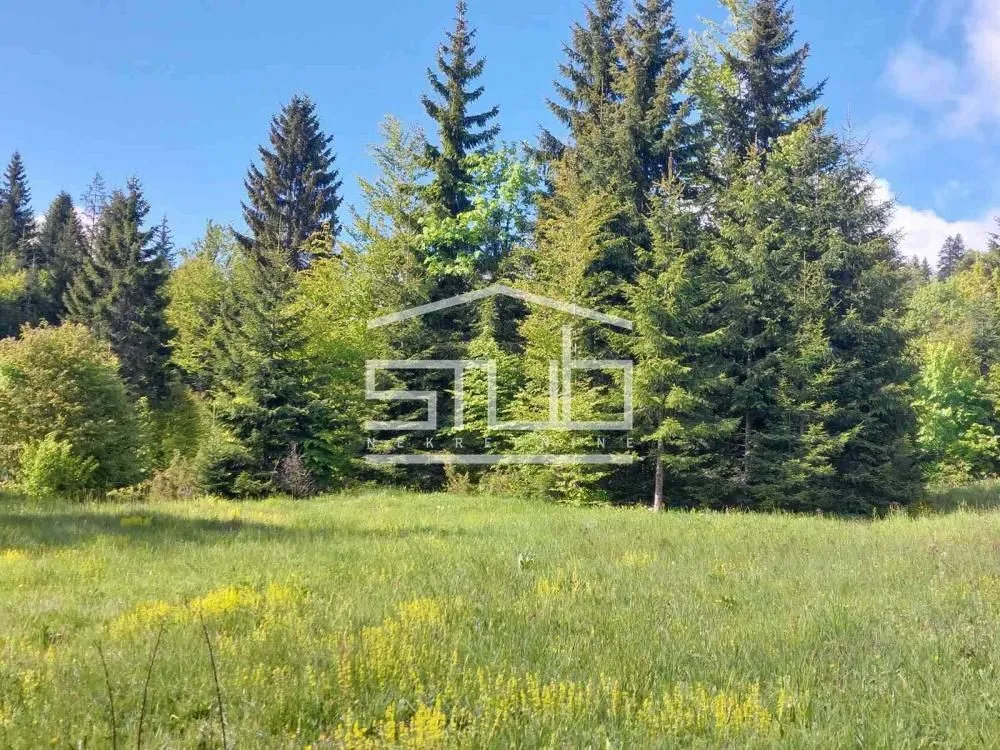 Sale, land lot, 3900m², Tara, Srbija