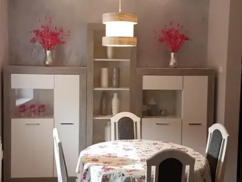 Izdavanje, dvosoban stan, 55m², Betanija, Novi Sad Sve Podlokacije - image 5