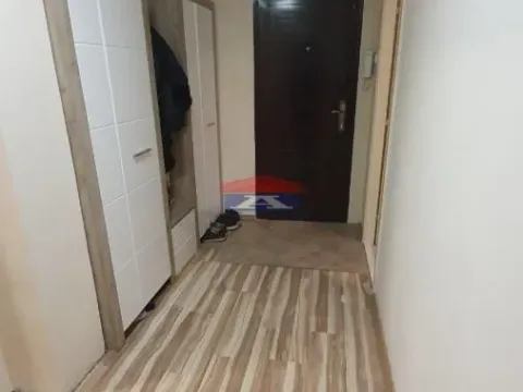 Rent, one bedroom apartment, 42m², Liman 3, Novi Sad Sve Podlokacije - image 8