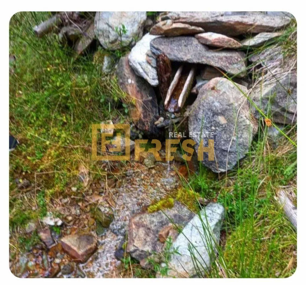Prodaja, plac, 6000m², Berane, Crna Gora