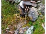 Prodaja, plac, 6000m², Berane, Crna Gora - image 12