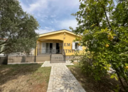 Rent, house, 165m², Farmaci, Podgorica