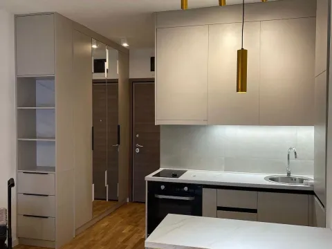 Rent, apartment, 27m², Zabjelo, Podgorica - image 3