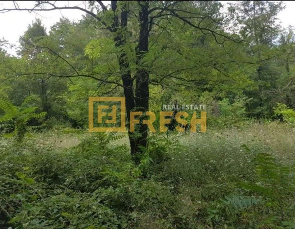 Prodaja, plac, 4400m², Danilovgrad, Crna Gora