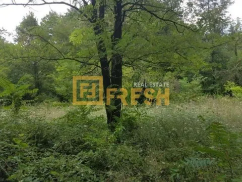 Prodaja, plac, 4400m², Danilovgrad, Crna Gora - image 2