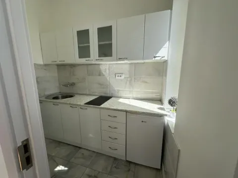 Izdavanje, dvosoban stan, 38m², Partizanov Stadion, Beograd - image 4