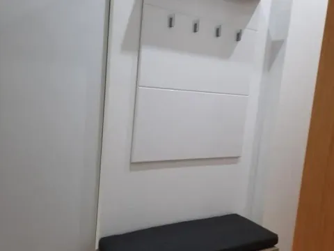 Izdavanje, garsonjera, 21m², Novo naselje, Novi Sad - image 5