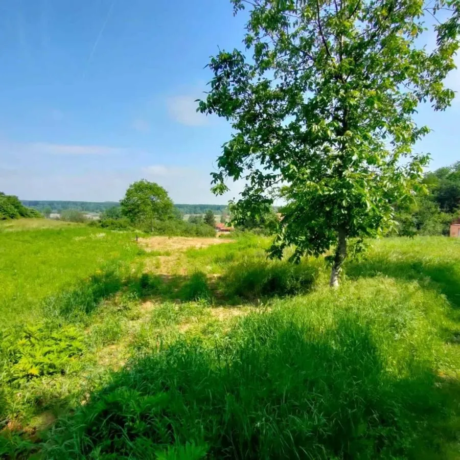 Prodaja, plac, 2400m², Ledinci, Petrovaradin