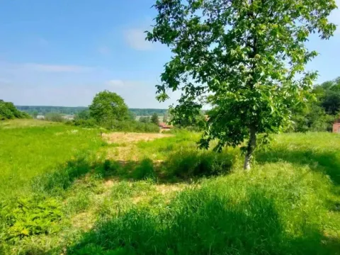 Sale, land lot, 2400m², Ledinci, Petrovaradin - image 2