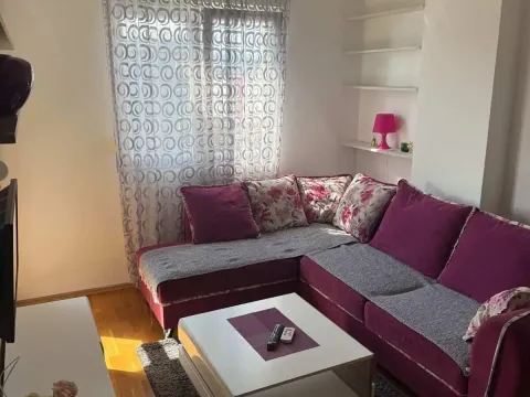 Rent, apartment, 40m², Ljubović, Podgorica - image 4