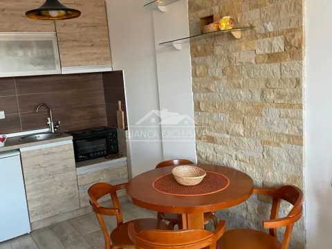 Prodaja, jednosoban stan, 28m², Kraljevi Čardaci, Kopaonik - image 9