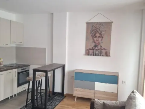 Rent, studio apartment, 23m², Telep, Novi Sad Sve Podlokacije - image 4
