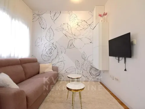 Rent, studio apartment, 24m², Zabjelo, Podgorica - image 1