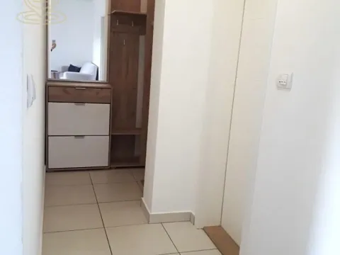 Rent, two bedroom apartment, 45m², Telep, Novi Sad Sve Podlokacije - image 7