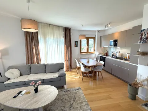Rent, one bedroom apartment, 42m², Tološka šuma, Podgorica - image 2